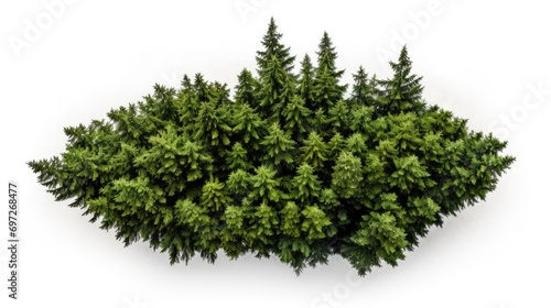 A group of green trees on a white surface. Can be used for nature-themed designs or as background imagery.