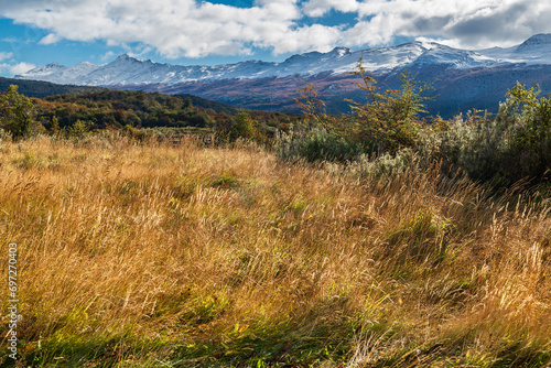 Parque Nacional, Tierra del Fuego, Argentina photo