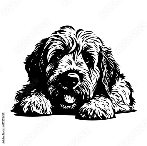 Golden Doodle dog resting silhouette illustration, Golden Doodle dog resting Logo Monochrome Design, Generative AI.