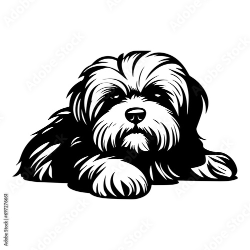 maltese dog resting silhouette illustration, maltese dog resting Logo Monochrome Design, Generative AI.