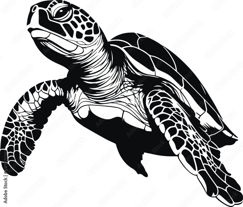 Vector turtle silhouette of a isolated on a white background, Vector illustration Vector turtle silhouette of a isolated on a white background, Vector illustration
