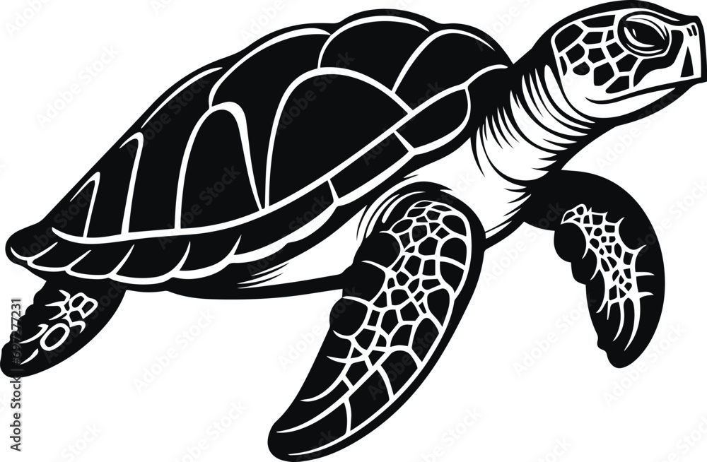 Vector turtle silhouette of a isolated on a white background, Vector ...