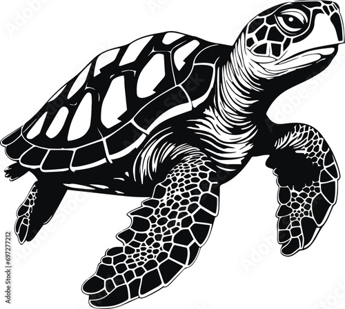 Vector turtle silhouette of a isolated on a white background, Vector illustration