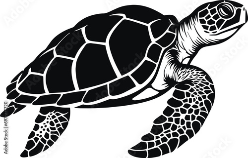 Vector turtle silhouette of a isolated on a white background, Vector illustration photo