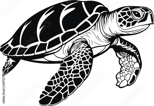 Vector turtle silhouette of a isolated on a white background, Vector illustration