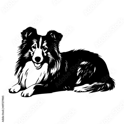 shetland sheepdog dog resting silhouette illustration, shetland sheepdog dog resting Logo Monochrome Design, Generative AI.