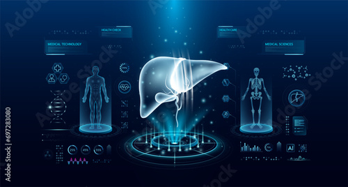 Liver health care technology with scan virtual interface hologram style. X ray and MRT human body examination. Medical diagnostic with HUD, UI, GUI. Analysis in futuristic laboratory. Vector EPS10. photo