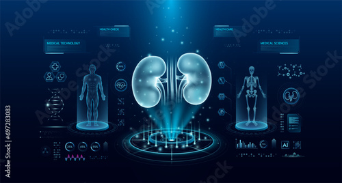 Kidney health care technology with scan virtual interface hologram style. X ray and MRT human body examination. Medical diagnostic with HUD, UI, GUI. Analysis in futuristic laboratory. Vector EPS10.