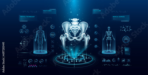 Pelvis bone health care technology with scan virtual interface hologram style. X ray and MRT human body examination. Medical diagnostic with HUD, UI, GUI. Analysis in futuristic laboratory. Vector.