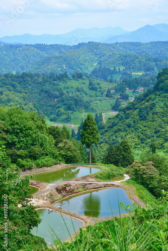 Wallpaper Mural 山古志一本杉の棚田棚池（新潟県） Torontodigital.ca