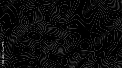 Topographic map. Topographic map lines, contour background. Abstract wavy curve geography topography lines contours map background. Topography white wave lines vector background. © Song Long
