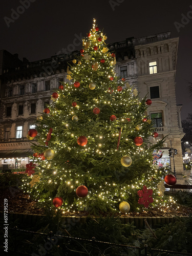 Decorated Christmas tree outdoors in the city center. Hungary, Budapest.