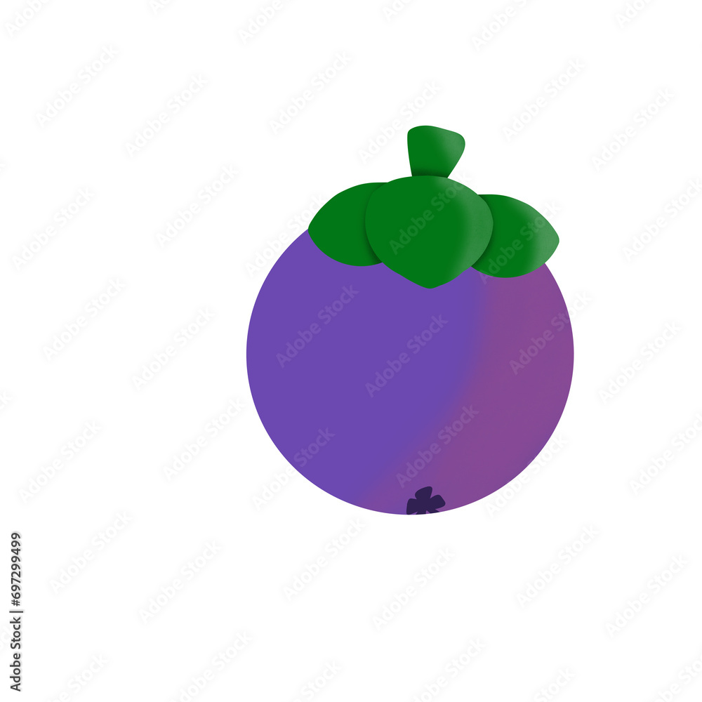 Vector illustration of mangosteen isolated on white background. Tropical fruits in south east asia Vector illustration of mangosteen isolated on white background. Tropical fruits in south east asia