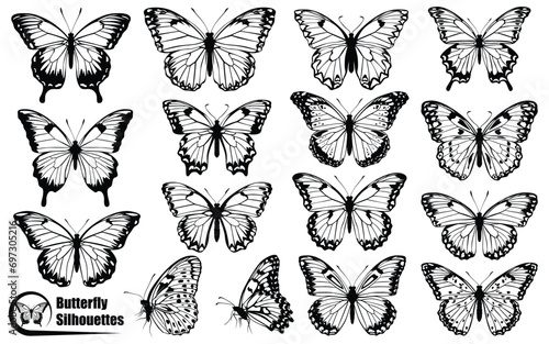 Black monochrome Butterfly Silhouettes Vector art © Adopik