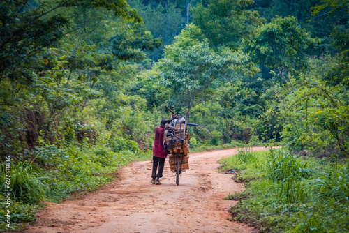 Man carrying wooden logs on a bicycle in Zomba plateau, Malawi