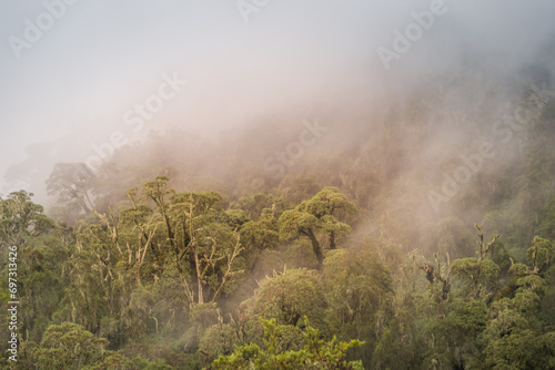 Misty slopes of Karisimbi volcano, Rwanda photo