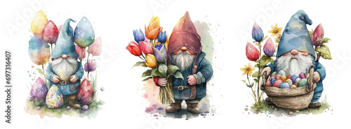 Cute gnome with basket of Easter eggs and tulips watercolor illustration, set of adorable garden gnomes characters isolated with a transparent background, baby nursery design  #697316407