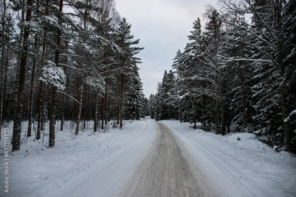 Great snowy winter landscape. A road through a snow-covered pine and spruce forest. Cold winter landscape in Sweden