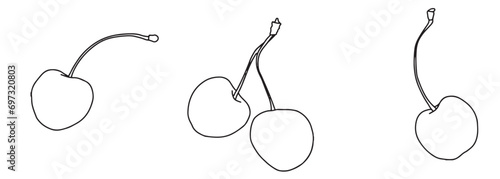 Cherry vector drawing set. Isolated hand drawn berry on white background. Summer fruit. Bundle with outline drawing. Sketch in line art style painted by black inks.
