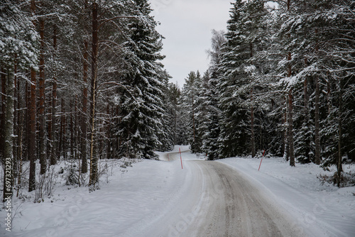 Great snowy winter landscape. A road through a snow-covered pine and spruce forest. Cold winter landscape in Sweden