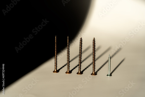 composition with a row of 4 long dark metal screws and a small silver metal screw casting long shadows on a light background and a dark area photo