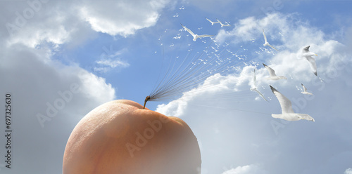 Giant peach floating in the water off the coast with seagulls circling