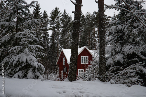 Typical red Swedish house. Holtzhaus in a winter landscape with ice and snow. Small settlement in the middle of the snow-covered forest. Landscape shot in Sweden © Jan