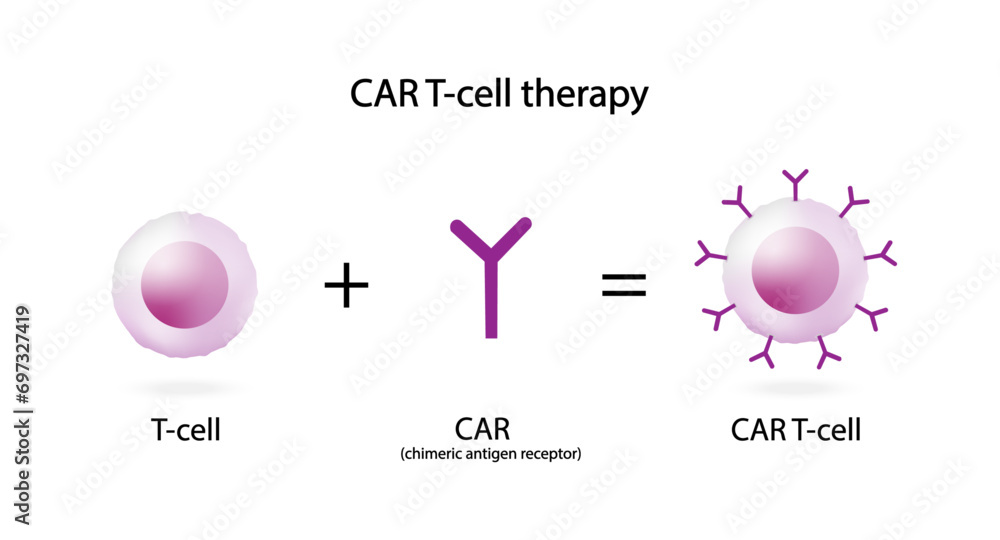 T-cell and Chimeric antigen receptor T cell ,CAR T cell therapy, for ...