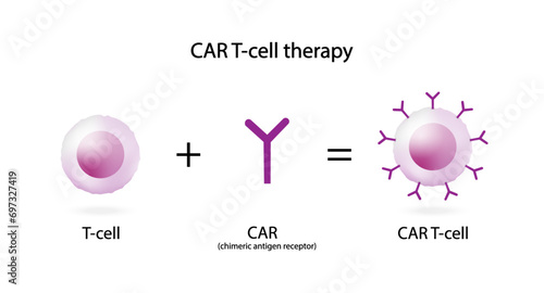 T-cell and Chimeric antigen receptor T cell ,CAR T cell therapy, for use in immunotherapy. chemotherapy. vector illustration.	