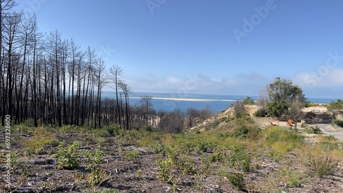 Fotografía Paysage Dune du Pilat  après incendie Bassin d’Arcachon Gironde  France