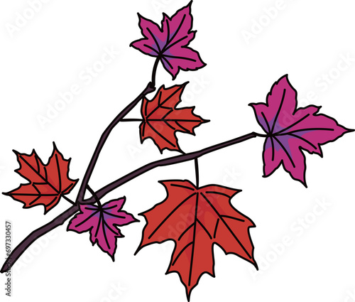 紅葉（autumn leaves）(eps)