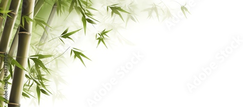 Green bamboo leaves on white background, can be used as posters, advertising media, presentations and others. generative AI © original logo