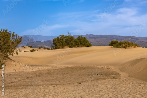 The Maspalomas Dunes Are Composed Of Water- And Wind-Driven Sand