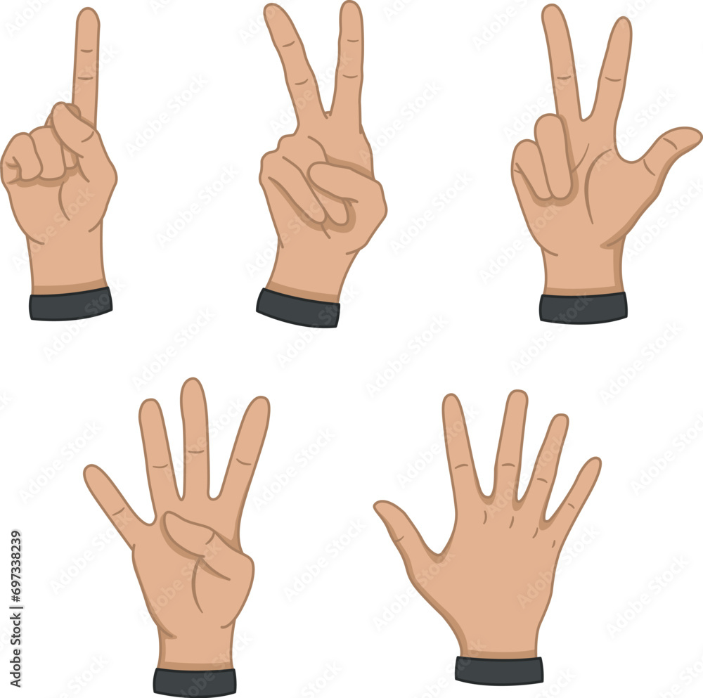 Set of Hands Showing Numbers. Vector Cartoon Hands Counting from One to Five. Vector illustration