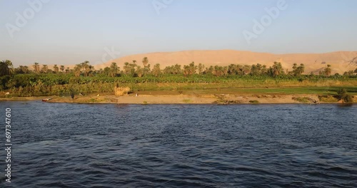 Palm trees and reed reflected in the Nile, Egypt