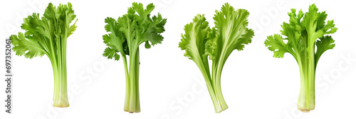 Set of celery isolated on white or transparent background photo