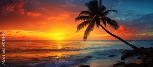 Palm tree silhouette during tropical sunset on ocean shore.