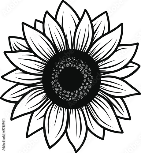 Black and white sunflower outline vector illustration - sunflower line art - spring summer sunflower monochrome doodle silhouette clip art - sunflower logo
