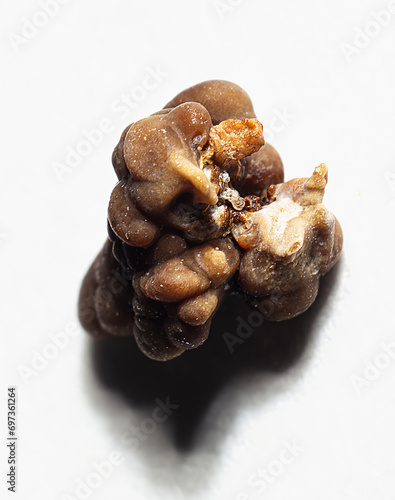 Fotografia calcium oxalate monohydrate isolated on white background