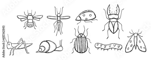 Set with insect in hand drawn doodle style