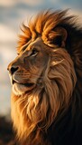 Majestic Lion Portrait at Sunset