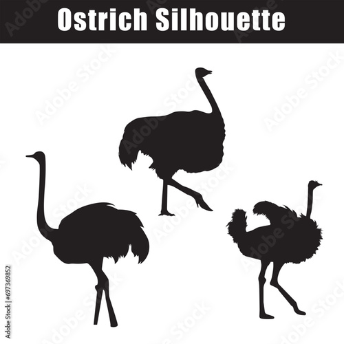 Elevate your designs with captivating vector silhouettes of Ostrich photo