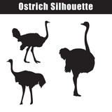 Elevate your designs with captivating vector silhouettes of Ostrich