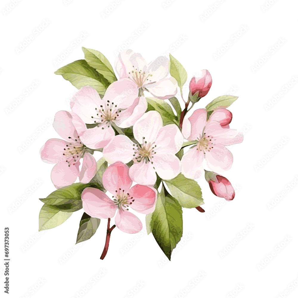 Fototapeta premium Apple tree blossom flower with leaves spring decor card watercolor paint on white background