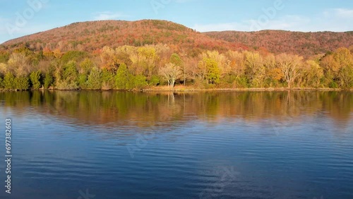 reflection of trees in water