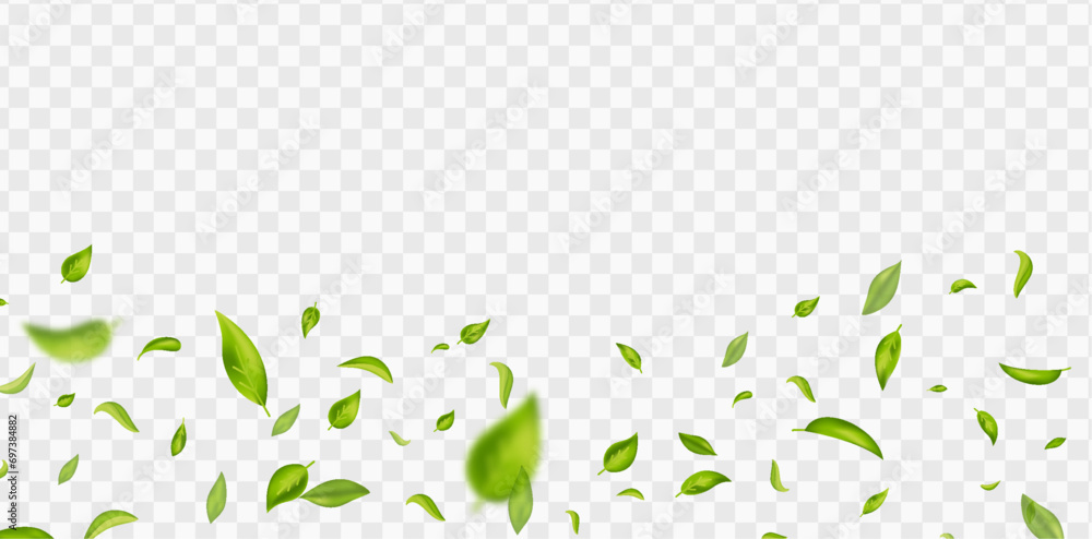 © Martin - Green flying leaves on long white banner. Leaf falling. Wave foliage ornament. Vegan, eco, organic design element. Cosmetic pattern border. Fresh tea background. Beauty product. Vector illustration © Martin - Green flying leaves on long white banner. Leaf falling. Wave foliage ornament. Vegan, eco, organic design element. Cosmetic pattern border. Fresh tea background. Beauty product. Vector illustration