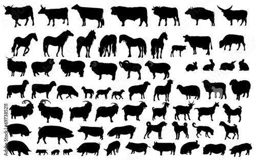 Collection of  domestic animal silhouettes. Vector illustration.	
