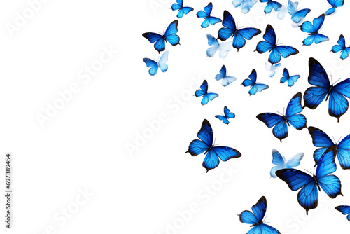 many butterfly flying isolated on transparent background