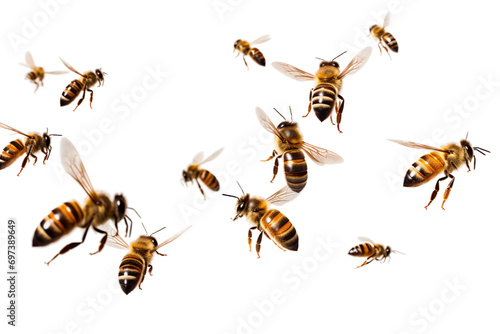 flying bees isolated on transparent background