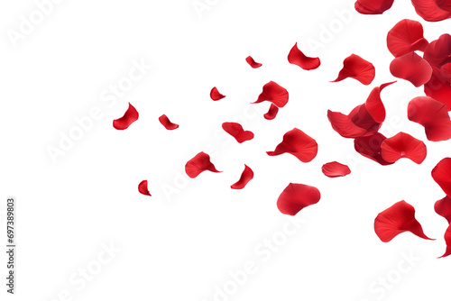 Fototapeta Naklejka Na Ścianę i Meble -  rose petals flying isolated on transparent background